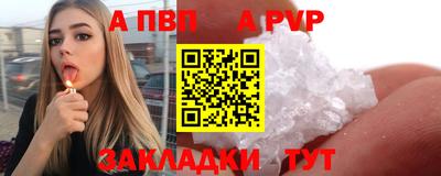 крисы Кунгур