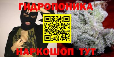 сатива Кумертау